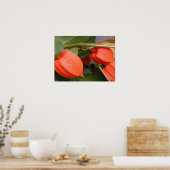 ランタン中国のポスター ポスター (キッチン)