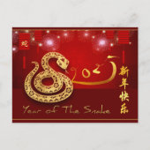 ランタン中国の花火ヘビ年2025 HHPostC インビテーションポストカード (正面)