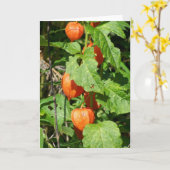 ランタン日本のグリーティングカー空白のド(内部) カード (黄色い花)