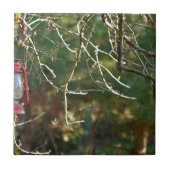 ランタン タイル (正面)