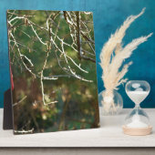 ランタン フォトプラーク (側面)