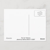 ランタン ポストカード (裏面)