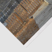 ランタン 薄葉紙 (詳細)