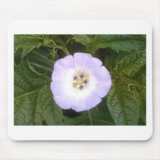 ランタ中国のン マウスパッド (正面)