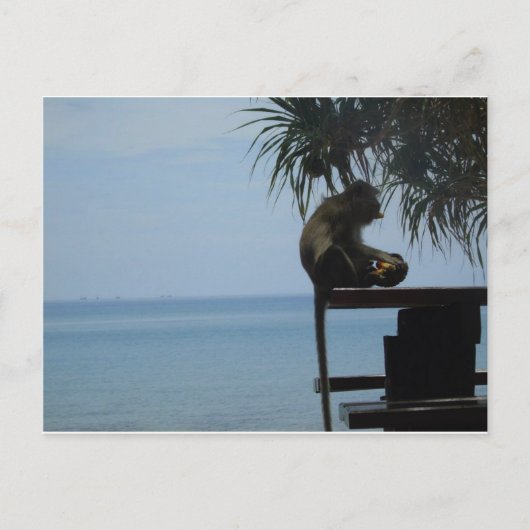 ランタ島 ポストカード (正面)