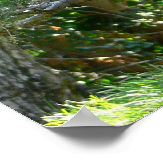 ランタ日本のン ポスター (角)