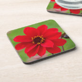 ランダフダリア司教 コースター (左側)