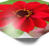 ランダフダリア司教 フォトプリント            (角)