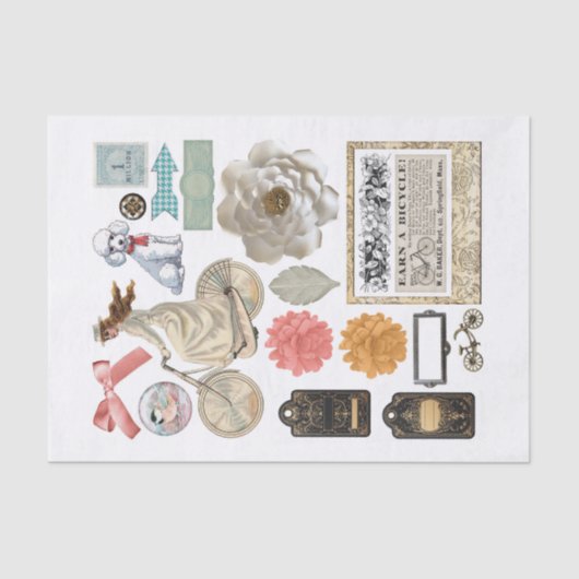 ランダムなエフェメラFussyカットの各種コレクション 薄葉紙 (正面)