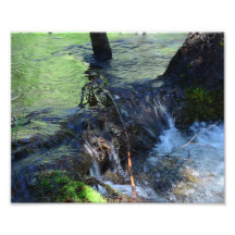 ランダム美しい