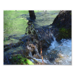 ランダム美しい フォトプリント           