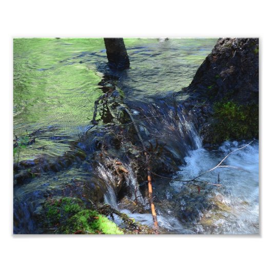 ランダム美しい フォトプリント (正面)