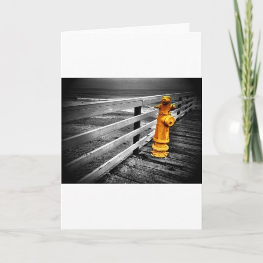 ランダム カード (正面)