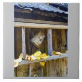 ランチカン タイル (正面)