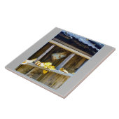 ランチカン タイル (側面)