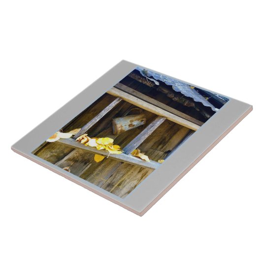 ランチカン タイル (側面)