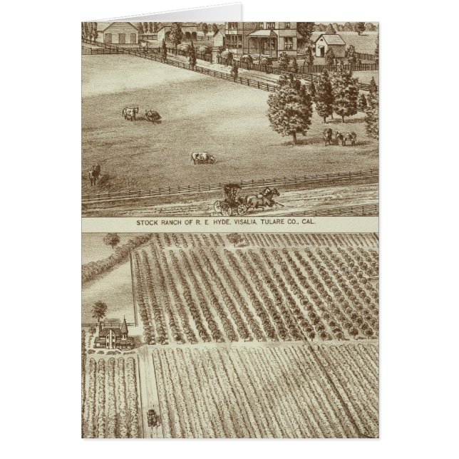 ランチス、ヴィサリア、チュラレ、カル (正面)