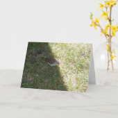 「ランチタイム」イースターカード カード (黄色い花)