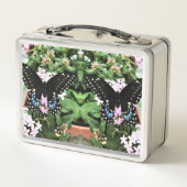 ランチボックス – イースタンブラックアゲハチョウ (裏面)