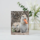 ランチポストカードを持つ女性 ポストカード (スタンド正面)