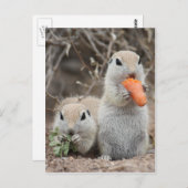 ランチポストカードを持つ女性 ポストカード (正面/裏面)