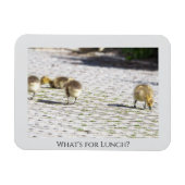 ランチマグネットとは マグネット (横)