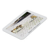 ランチマグネットとは マグネット (左側)