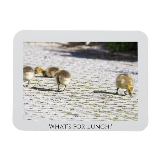 ランチマグネットとは マグネット