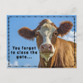 ランチャおもしろいーズのジャンクメール・カントリーWestern Tales ポストカード (正面)