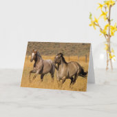 ランチリビングアットザポンデローザランチ カード (黄色い花)