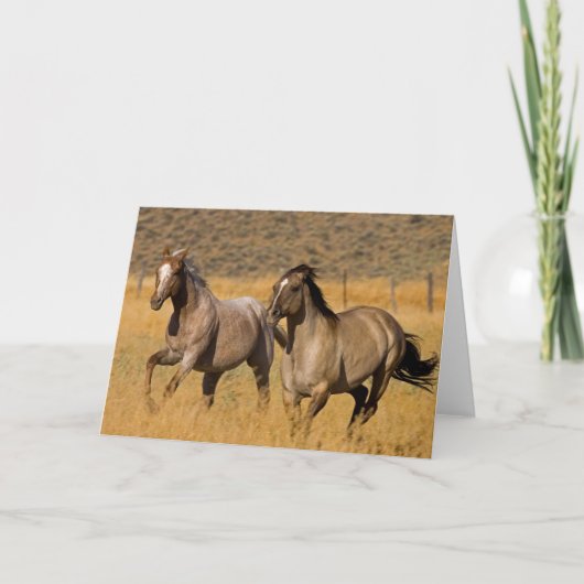 ランチリビングアットザポンデローザランチ カード (正面)