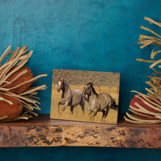 ランチリビングアットザポンデローザランチ フォトプラーク (側面)