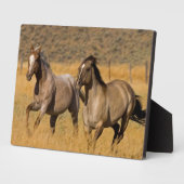 ランチリビングアットザポンデローザランチ フォトプラーク (側面)