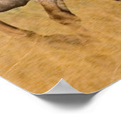 ランチリビングアットザポンデローザランチ ポスター (角)