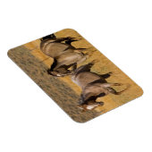 ランチリビングアットザポンデローザランチ マグネット (右側)