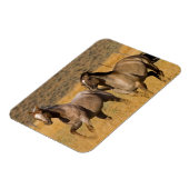 ランチリビングアットザポンデローザランチ マグネット (左側)