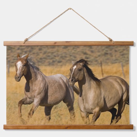 ランチリビングアットザポンデローザランチ 吊り下げ型タペストリー (正面)