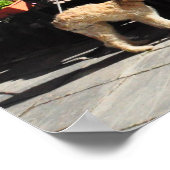 ランチヴューケベックシティ通りカナダポスター ポスター (角)