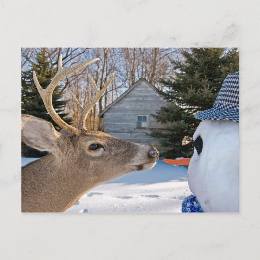 ランチ招待状 インビテーションポストカード (正面)