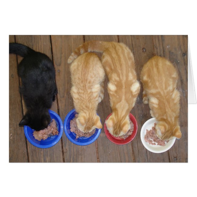 ランチ！ (正面横)