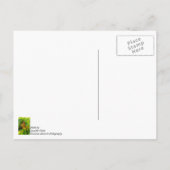 ランテアナの花の蜜を楽しむアサギマダラの感謝の気持ちのポストカード ポストカード (裏面)