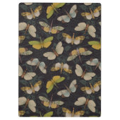 ランテルンフライ – パイロプスカンデリア&その他のプラントープ クリップボード (裏面)