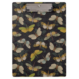 ランテルンフライ – パイロプスカンデリア&その他のプラントープ クリップボード