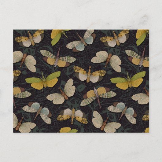 ランテルンフライ – パイロプスカンデリア&その他のプラントープ ポストカード (正面)