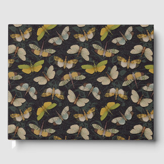 ランテルンフライ – パイロプスカンデリア&プラントパーズ ゲストブック