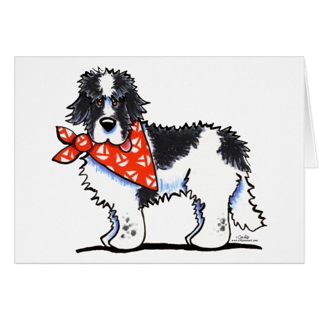 ランディア・ニューフィー・セーラー (正面横)