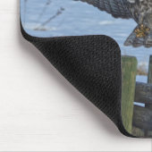 ランディンググ素晴らしレーフクロウと雪野生生物ラプター マウスパッド (コーナー)