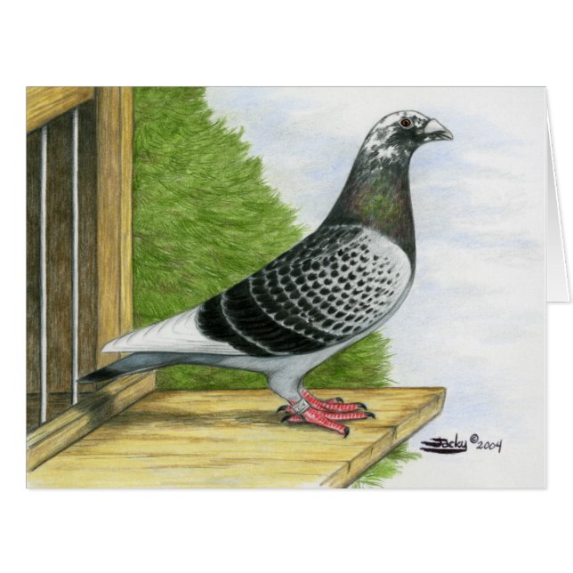 ランディングボード上のレーシングホーマー (正面横)