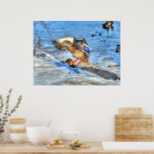 ランディングマラルダックワイルドライフフォトプリント ポスター (キッチン)