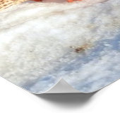 ランディングマラルダックワイルドライフフォトプリント ポスター (角)